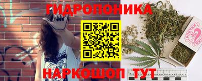 Альфа ПВП Канаш