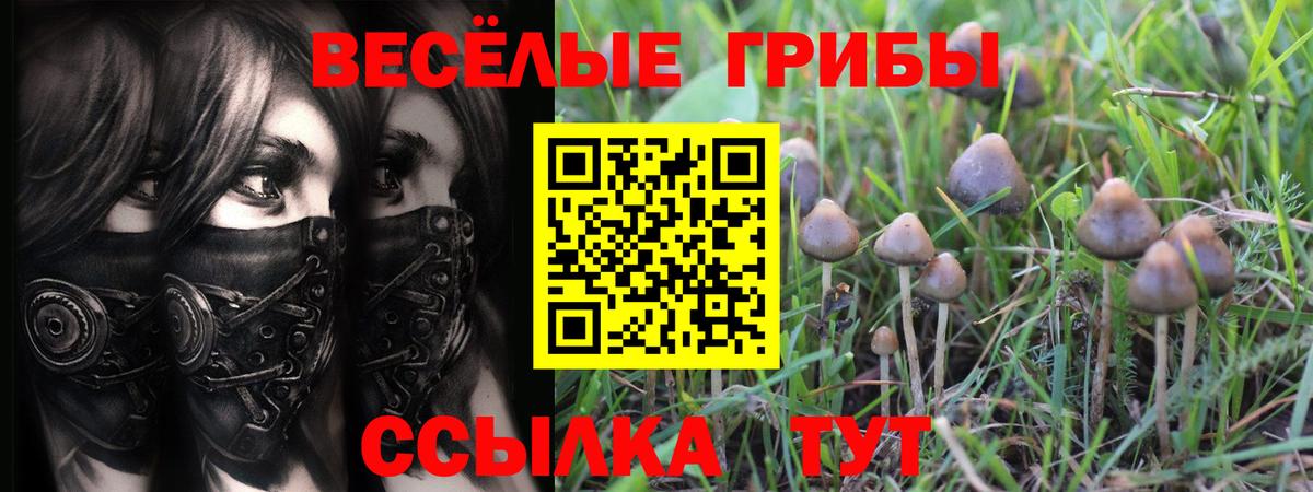 Надым  Галлюциногенные грибы мицелий  Вход с VPN 